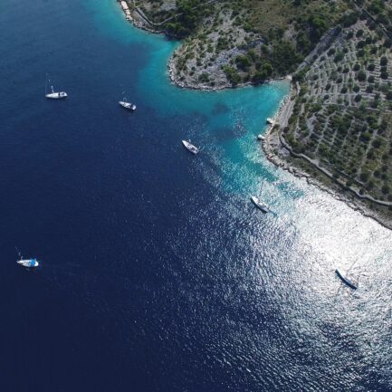 Mediterranean Chapter