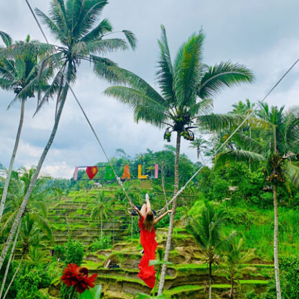 Bali Chapter